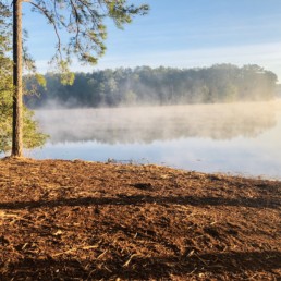 Land Clearing