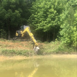 Land Clearing